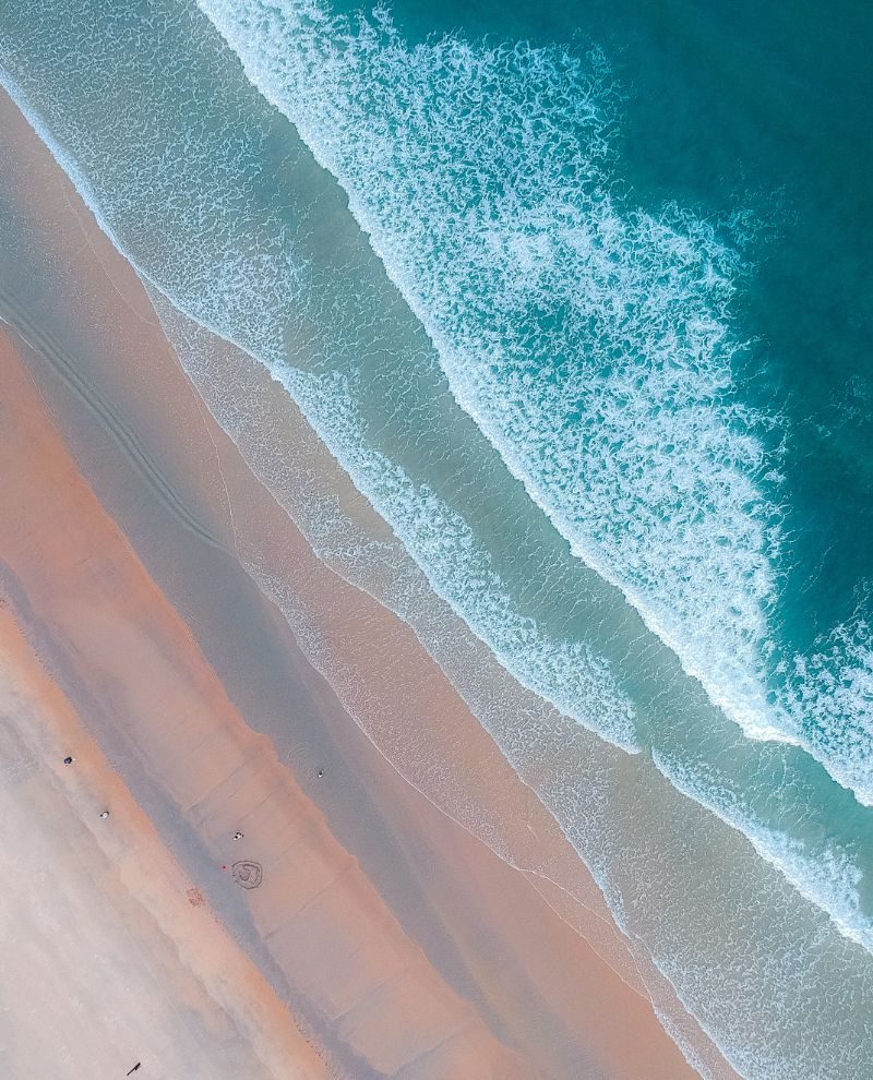OceanProtection OceanProtection